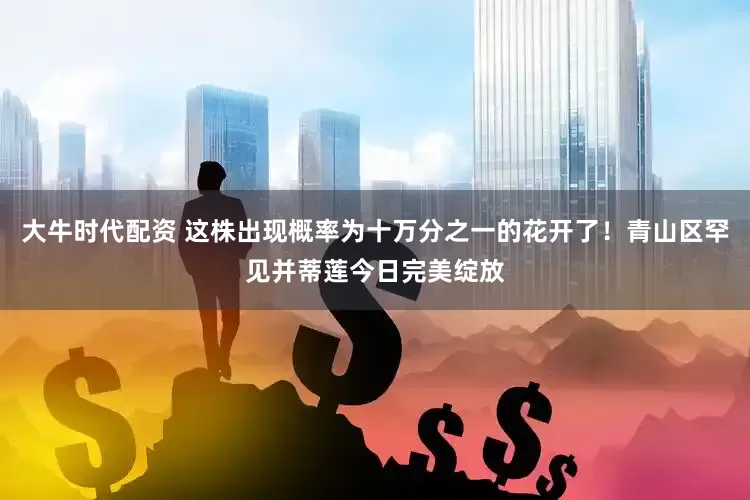 大牛时代配资 这株出现概率为十万分之一的花开了！青山区罕见并蒂莲今日完美绽放