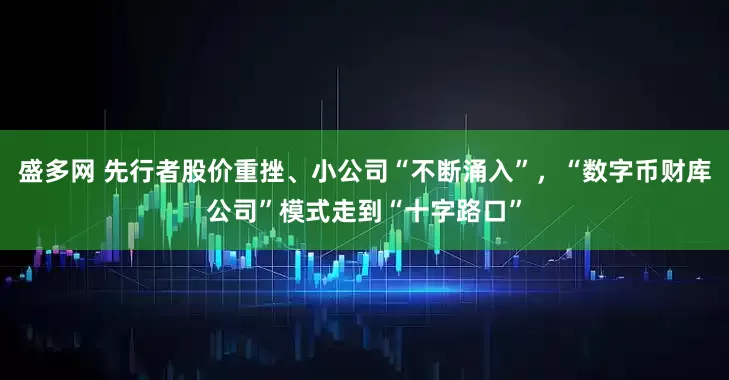 盛多网 先行者股价重挫、小公司“不断涌入”，“数字币财库公司”模式走到“十字路口”