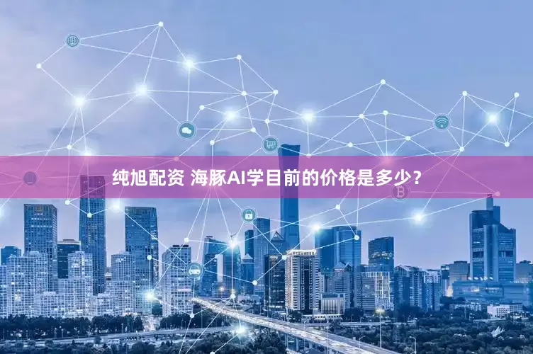 纯旭配资 海豚AI学目前的价格是多少？
