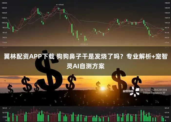 翼林配资APP下载 狗狗鼻子干是发烧了吗？专业解析+宠智灵AI自测方案